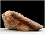 Fossilien-Atracites sp aus dem Salzkammergut-212